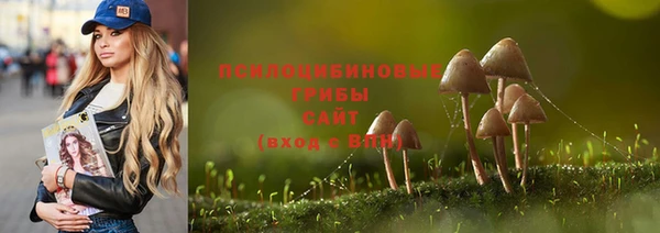 СК Аркадак