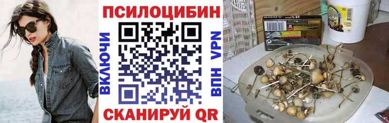 Псилоцибиновые грибы прущие грибы  Белово 