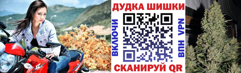 Марихуана план  закладка  hydra как зайти  Белово 